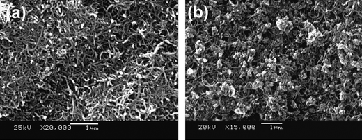 
                SEM images of (a) multiwalled carbon nanotubes (MWCNT) and (b) nanoscale networked LiFePO4-MWCNT nanocomposite.