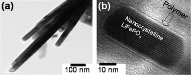 
                High resolution TEM image of (a) large LiFePO4nanorods (40 ± 6 nm width and up to 1 µm length) and (b) small LiFePO4nanorods (25 ± 6 nm width and up to 100 nm length) after coating with p-toluene sulfonic acid (p-TSA) doped poly(3,4-ethylenedioxythiophene) (PEDOT).