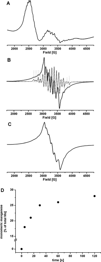 
            EPR spectra for 1 (2 mM in H2O/MeCN at 3 : 1): (A) before the addition of oxidant; (B) solid line: 5 s after the addition of oxone (10 eq. per Mn centre), dashed line: 1 oxidised to the Mn2III,IV state (see Fig. 4 for details); (C) 1 min after the addition of oxone (10 eq.); (D) quantification of the six-line EPR signal from monomeric manganese species over time after the addition of oxone. EPR measurement conditions: temperature: 12 K (A), 5 K (B and C); microwave frequency: 9.58 GHz; modulation amplitude: 10 G; microwave power: 2 mW (A), 200 µW (B and C).