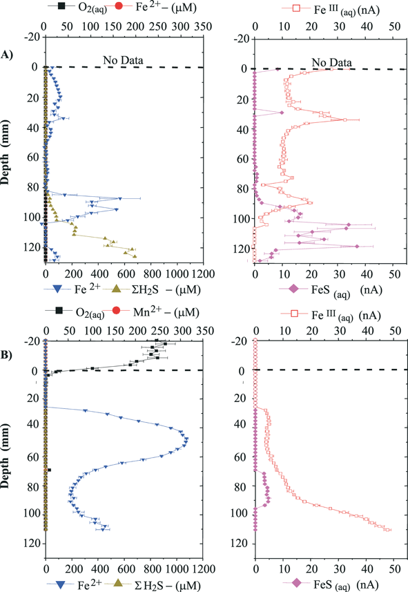 
              In situ depths profiles of dissolved O2, Mn2+ and Fe2+, ∑H2S (left panel) and soluble organic–Fe(iii) complexes and FeS(aq) (right panel) at SAT 4 in (A) September 2005 and (B) October 2005. Dissolved O2 measurements were obtained by linear sweep voltammetry at 2 V s–1. Except for ∑H2S in September, measured anodically, species were detected by square wave cathodic sweep voltammetry at 200 mV s–1 after a conditioning period of 10 s at –0.9 V and 10 s at –0.1 V.