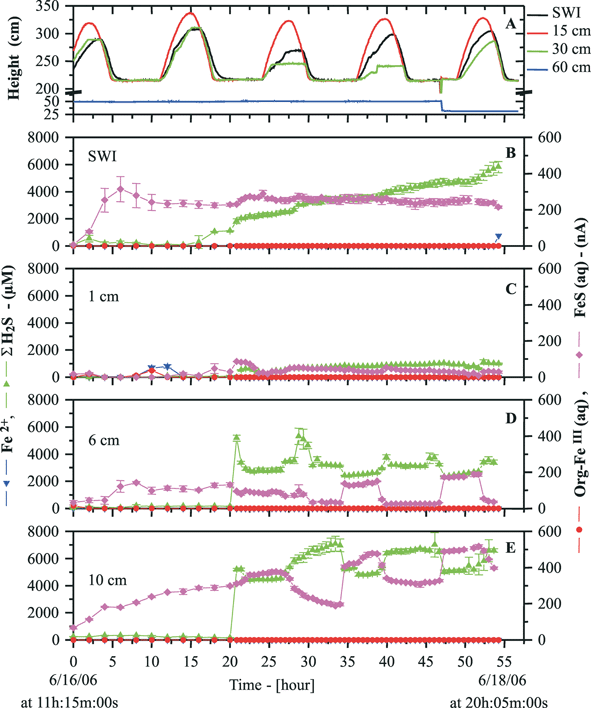 (A) In situ levels and (B)–(E) porewater voltammetric measurements of Fe2+, ∑H2S, soluble organic–Fe(iii) complexes, and FeS(aq) at different depths in mud flat sediments as a function of time for more than two days in June 2006. Water levels were measured with level loggers (Solinst) in monitoring wells with screens positioned at the sediment–water interface (SWI), 15, 30 and 60 cm below the SWI. Voltammetric measurements were measured with four different Au/Hg microelectrodes positioned at the SWI, 1, 6 and 10 cm below the SWI. Dissolved O2 was measured by LSV but never detected in these anoxic sediments. Other species were monitored using conditions reported in Fig. 13.