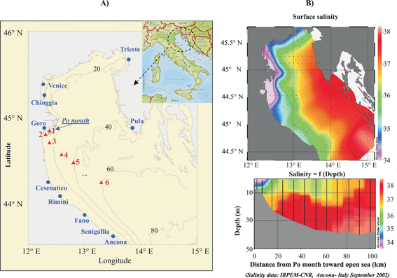 (A) Geographic location of the Po River mouth and positions of 6 stations in the Adriatic Sea where the MPCP profiling has been performed. (B) Salinity of the Adriatic Sea showing the export of freshwater to the continental shelf. (C) Vertical profiles of salinity from the Po River mouth to the shelf.