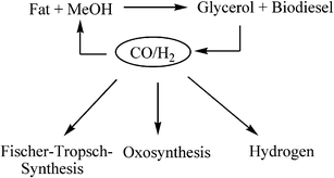 Production of synthesis gas from triglycerides viaglycerol.