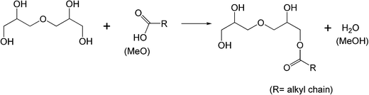 Synthesis of monoesters of diglycerol.