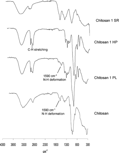 Typical FTIR spectra of chitosan, the two liquid polyol fractions (HP and PL) and the solid residue (SR) resulting from its oxypropylation at 140 °C.