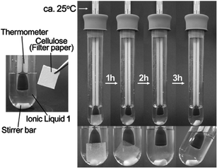 Solubilization of cellulose (filter paper: 1 wt%) in IL 1 at room temperature.