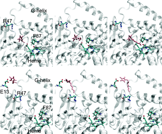 Final conformations from molecular dynamics docking simulations. Top row (substrate channel entrance; from left to right): BMIM, HMIM, OMIM; Bottom row (inside substrate binding channel; from left to right): BMIM, HMIM, OMIM. Figures on the left are labeled by highlighting important P450 BM-3 positions/regions. The 1-alkyl-3-methylimidazolium is colored in pink.