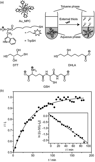 (a) Schematic depiction of surface monolayer exchange experiments in a two-phase system and chemical structure of thiol ligands used in ligand exchange. The released fluorophores were transferred into the toluene phase and the fluorescence intensity of the toluene phase was recorded over time. (b) The normalized fluorescence intensity at 350 nm (λex = 295 nm) for the ligand exchange of NP_Sec (0.2 µmol dm–3) with DHLA (1 mmol dm–3) in PBS at 37 °C. The inset shows the logarithm of fluorescence intensity changes versus time and corresponding linear regression plot (see ESI for details).