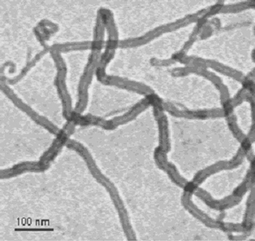 
              Water soluble MWNT functionalised through the organic 1,3-dipolar cycloaddition reaction.