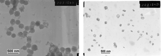 
          TEM
          photomicrograph before (left) and after (right) 3 h of HF treatment of silica/polyDCL/zirconia nanoparticles.
