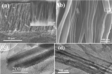 (a) FESEM images of BCN nanotube brushes with the average diameter of a single tube being around 170 nm. The inset shows a FESEM image of BCN nanotube brushes of 40 nm diameter. (b) Higher magnification FESEM images of BCN nanotube brushes. TEM image of a BCN nanotube (c) 170 nm diameter, (d) 40 nm diameter.