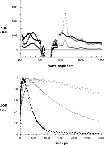 Upper part: differential absorption spectra (visible and near-infrared) obtained upon femtosecond flash photolysis (670 nm) of 1 in argon saturated THF with several time delays (i.e., 1 ps – filled circles; 102 ps – open circles; 2892 ps – crosses) at room temperature. Lower part: time–absorption profiles of the spectra shown above at 845 nm, monitoring the charge separation and charge recombination in anisole (△), THF (○) and benzonitrile (■).