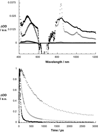 Upper part: differential absorption spectra (visible and near-infrared) obtained upon femtosecond flash photolysis (670 nm) of 2 in argon saturated THF with several time delays (i.e., 1 ps – filled circles; 102 ps – open circles; 2892 ps – crosses) at room temperature. Lower part: time–absorption profiles of the spectra shown above at 845 nm, monitoring the charge separation and charge recombination in anisole (△), THF (○) and benzonitrile (■).