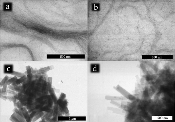 
          STEM analysis of Sb2S3 ultrathin nanowires and nanoplatelets: a) a bundle of colloidal Sb2S3nanowires; b) a higher magnification image of the Sb2S3nanowires which already allows appreciation of the degree of fragmentation of the nanowires due to the electron beam; c–d) STEM images of typical nanoplatelet assemblies.