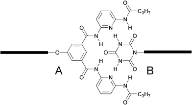 Structure of a cyanuric wedge (ADA–ADA array) and a corresponding diaminopyridine-substituted isophthalamide receptor (DAD-DAD array) assembled into a well-defined six hydrogen-bonded system.83