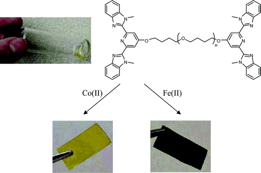 Formation of metallo-supramolecular polymer films by complexation of the 2,6-bis(1′-methylbenzimidazolyl)pyridine-terminated oligomers with Fe(ii) and Co(ii). Reproduced with permission from ref. 118.