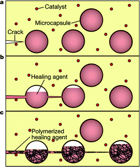 The self-healing concept where a microencapsulated healing agent is embedded in a structural composite matrix containing a catalyst capable of polymerizing the healing agent. (a) Cracks form in the matrix. (b) The crack ruptures the microcapsules, releasing the healing agent into the crack plane through capillary action. (c) The healing agent contacts the catalyst, triggering polymerization that bonds the crack faces closed. Reproduced with permission from ref. 156.