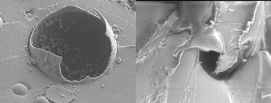 Left: a scanning electron micrograph shows the fracture plane of a self-healing epoxy with a ruptured urea-formaldehyde microcapsule in the center of the image. Right: a scanning electron micrograph shows the fracture plane of a self-healing epoxy and the polymerized healing agent coating the original fracture plane. A broken (emptied) microcapsule appears in the background. Reproduced with permission from ref. 156.