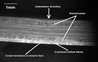 Impact damaged cross-section of composite laminate containing healing agent and UV dye filled filaments. Reproduced with permission from ref. 166.