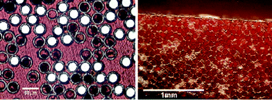 Optical micrographs of the manufactured fibers and composites: (a) hollow glass fibers of 60 μm external diameter with a hollowness of 50% and (b) the same fibers within a Hexcel 913 epoxy matrix. Reproduced with permission from ref. 167.