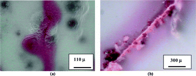 (a) Release of red dye from a rupture of UF microcapsules caused by induced crack in coating. (b) Red dye release due to breaking UF microcapsules by scribing the coated layer. Reproduced with permission from ref. 168.