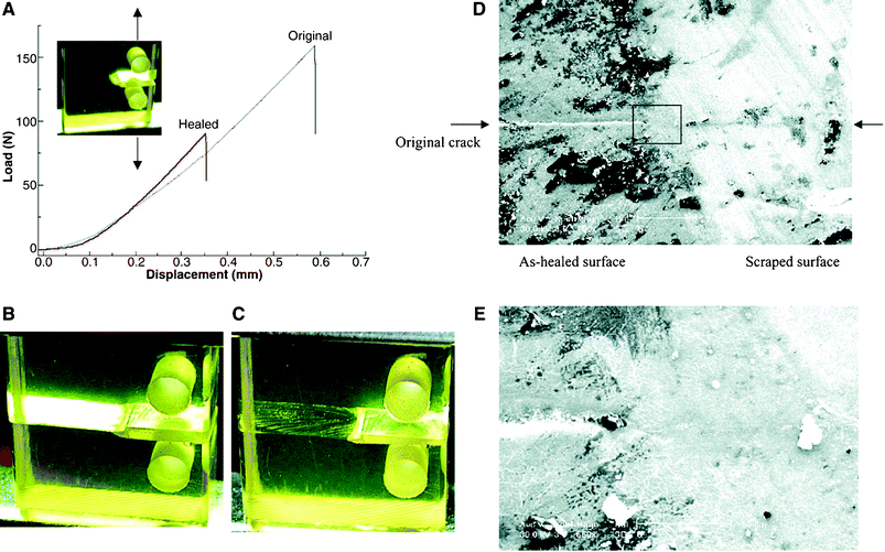 Thermal mending of the polymer. (A) Mending efficiency obtained by fracture toughness testing of compact tension test specimens. Values for the original and healed fracture toughness were determined by the propagation of the starter crack along the middle plane of the specimen at the critical load. (B) Image of a broken specimen before thermal treatment. (C) Image of the specimen after thermal treatment. (D) SEM image of the surface of a healed sample: the left side is the as-healed surface and the right side is the scraped surface. (E) Enlarged image of the boxed area in (D). Reproduced with permission from ref. 29.