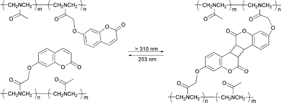 Reversible photoinduced polymer cross-linking via pendant coumarin moieties.66