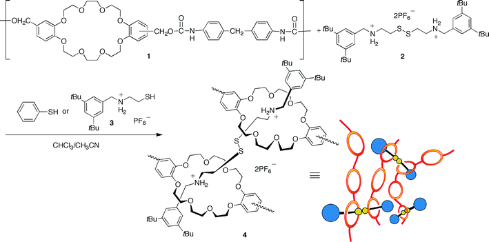 Synthesis of a polyrotaxane network. Reproduced with permission from ref. 136.