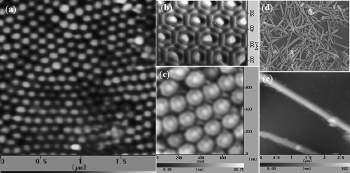 
          AFM photo of nano-pillar arrays of Ag–perylene from the back side (a); AFM photos of the core–shell structure of Ag–perylene from the front side (b) and back side (c); SEM and AFM photos of Ag–perylene nanorods (d, e).