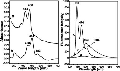 (a) Absorption spectrum of 1.2 × 10−6 M perylene in chloroform solution; (b) absorption spectrum of perylene nanorods, removed from the AAO template with 3 M NaOH solution; (c) fluorescence spectrum of 1.2 × 10−6 M perylene in chloroform solution; (d) fluorescence spectrum of Ag–perylene nanorods; (e) fluorescence spectrum of the Ag–perylene core–shell nano-pillars array. The excitation wavelength for all the fluorescence spectra was 384 nm.