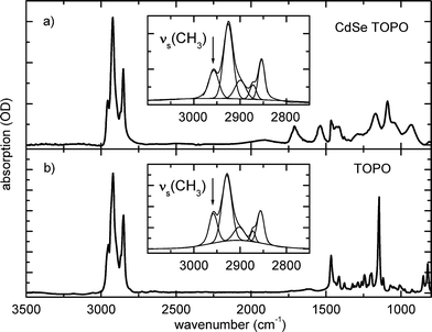 Ligand exchange of CdSe nanocrystals probed by optical 