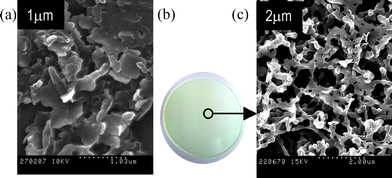 (a) SEM image of a polycarbonate membrane surface after filtering a suspension of nanoparticles (entry 4, Table 1). (b) Photograph of a mixed cellulose ester membrane loaded by filtering a suspension of nanoparticles of 1 (entry 4, Table 1), showing an homogeneous light-green coloured surface due to the uniform distribution of the mercury indicator. (c) SEM image of a mixed cellulose ester membrane loaded with 1, showing the high homogeneity of the coating of the fibres of cellulose.