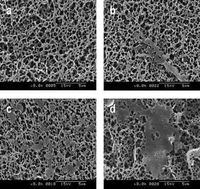 
            SEM images of mixed cellulose ester membranes after filtering increasing amounts of nanoparticle suspension. Images a, b, c and d correspond, respectively, to the filtration of 5, 10, 20 and 25 ml of nanoparticle suspensions of the detecting molecule (entry 4, Table 1).