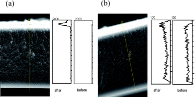 Cross section image and SEM EDX images: (a) of a coated cellulose membrane with nanoparticle suspension of 1 after and before filtering 10 ml of 10−2 M mercury(ii) aqueous solution and (b) of a dip-coated cellulose membrane with 1 after and before the treatment with a 10−2 M mercury(ii) aqueous solution.