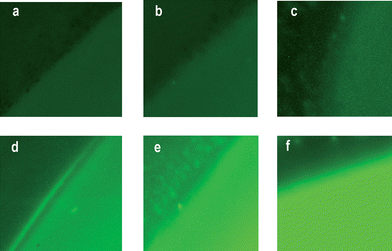 Representative optical microscope fluorescence images of the contours of sensing membranes after filtration of 100 ml of aqueous solutions with concentrations of: (a) 0 M, (b) 10−6 M, (c) 10−5 M, (d) 10−4 M, (e) 10−3 M, and (f) 10−2 M of mercury(ii) ions.