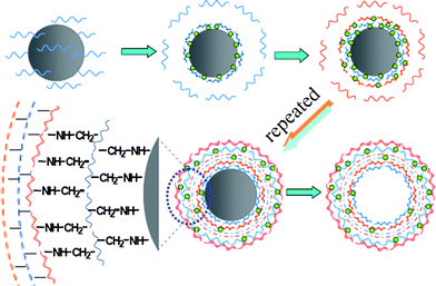 Schematic illustration of the process of direct covalent LbL assembly on a silica particle, and fabrication of a hollow capsule by etching out the template core. The blue lines represent PGMA, the red lines represent PAH, and the green dots represent the covalent linkage between layers. Reprinted with permission from ref. 50. Copyright 2007, Wiley-VCH.