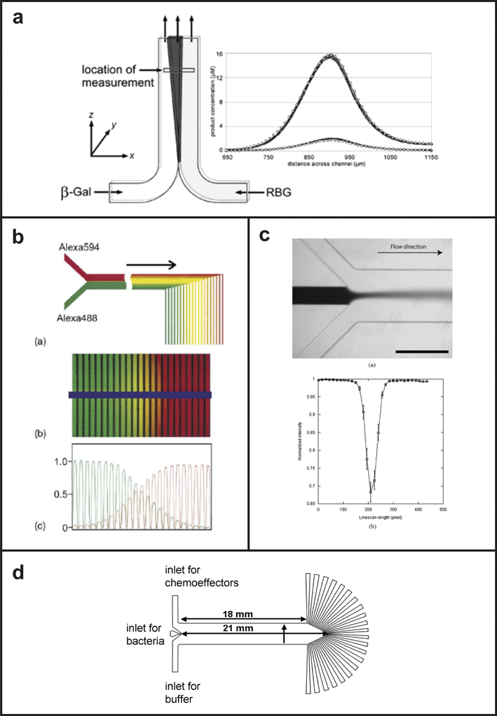 
            T-sensor based devices. (a) Schematic of the T-sensor with a plot of the concentration profile of a fluorogenic substrate generated by interdiffusion of enzyme (β-gal) and substrate (RBG) solutions (from ref. 115, copyright 2002 American Chemical Society). (b) T-sensor based diffusion diluter developed by ref. 112, validated with the fluorescent dye, Alexa 488 (adapted from ref. 112, copyright Elsevier, 2003). (c) Device used to infect cell populations with a gradient of baculovirus (adapted from ref. 84, copyright Elsevier, 2004). (d) Device used to study bacterial chemotaxis in the presence of various chemoeffectors (from ref. 96, copyright 2003 National Academy of Sciences, USA).