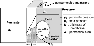 Principle of pressure-driven gas permeation through a polymer membrane. When a pressure difference is generated across the membrane, gas penetrates the membrane according to the pressure difference.