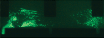 EGFP-ERK1 localized along internal structures in the cytoplasm. Before addition of FGF-2, EGFP-ERK1 is visible as green structures along what appear to be internal filaments.