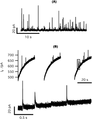 On-chip amperometric detection of quantal catecholamine release from digitonin-permeabilized cells. (A) Catecholamine release from digitonin-permeabilized chromaffin cells detected by a carbon fiber electrode. (B) Top: typical amperometric spikes recorded from digitonin-permeabilized chromaffin cells sitting on top of ITO electrodes. The sloping baseline is a current artifact that resulted from cage photolysis. Bottom: expanded view of the interval outlined by the gray box in the top panel.