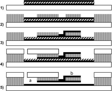 Process for SU-8 nanofluidic channel with top/bottom electrodes and integrated microchannels. (1) Top electrode, bottom electrode (black, solid) and sacrificial layer (thick black slanted line) patterned. (2) SU-8 (gray, vertical black lines) patterned with microchannels and electrode access holes/vias. (3) Metal layer sputtered for contact pads and contact with top electrode. (4) Patterned glass or PDMS bonded to structural SU-8. (5) Sacrificial layer removed, (a) represents a microchannel (running into the plane) or a contact pad for the bottom electrode, (b) represents the top electrode contact pad. The bottom electrode contact pad and the microchannels are shown colocated, though this is not necessary. The via to the left of (b) must be small enough at the bottom such that the metal membrane will not significantly deflect, or an additional layer of SU-8 must be used as a structural support.
