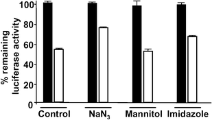 Evidence that Ru-HT-mediated protein inactivation involves singlet oxygen. Extract from HeLa cells expressing the 3×Flag-Luc-HTP-Myc fusion protein was incubated with Ru-HT (100 nM) for 30 min at room temperature. NaN3 (30 mM), d-mannitol (65 mM), or imidazole (30 mM) were added immediately before irradiation. Open bars: irradiated (30 min) sample, filled bars: non-irradiated sample. Data represent mean of triplicate experiments; error bars indicate standard deviations.