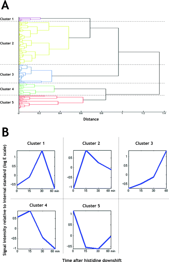 Clustering analysis of metabolites for which intracellular levels were changed during histidine starvation. A. Tree view of distances between the clusters generated by HCA. B. Average view of the clusters. Signal intensities relative to that of internal standard were standardised.