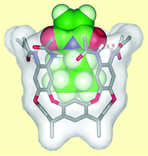 An imide molecule fits snugly in the molecular cavity perfectly primed to react with an alcohol.