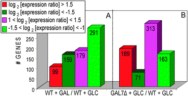 The number of the significantly and moderately over- and under-expressed genes in (A) the galactose-grown [WT+GAL] with respect to the glucose-grown [WT+GLC] wild-type physiology, and (B) the glucose-grown gal7-deficient [GAL7Δ+GLC] with respect to the glucose-grown WT [WT+GLC] physiology. In all subsequent figures, the genes in the significantly overexpressed, moderately overexpressed, moderately underexpressed and significantly underexpressed categories and any molecular function associated with any of these categories will be depicted by the corresponding color (i.e. red, purple, light and dark green, respectively).