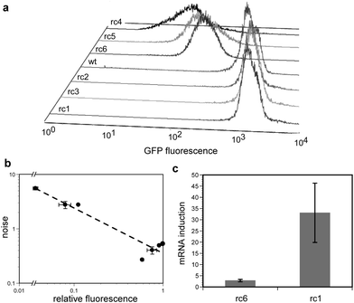 The effect of ribosome competing RNAs (rcRNAs) on gene expression. (a) Flow cytometric histograms of E. coli populations expressing GFP as well a single rcRNA variant. rcRNA variants expressed (near to far): rc1, rc3, rc2, wild-type (uninduced cells carrying the plasmid for rc1), rc6, rc5, rc4. (b) relative GFP fluorescence versus noise (standard deviation divided by mean protein abundance) from the flow cytometry data in panel ‘a’. The data were fit to an equation of the form y = axb where the value of b is −0.83 (dashed line). Three cultures of each sample were grown in parallel and assayed under the conditions described in the Experimental. Error bars represent 95% confidence intervals. (c) Relative abundance of gfpmRNA in E. coli treated with 200 ng mL−1 anhydrotetracycline (aTc) as compared to cells treated with no inducer in the presence of a high affinity (rc6) or low affinity (rc1) rcRNA. RNA was prepared and quantitated from three cultures grown in parallel under the conditions described in Experimental. Error bars represent 95% confidence intervals.