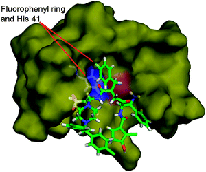 
            Fluorophenyl ring of GQAC-02441 is located near His-41 on the active site of PA-Mpro.