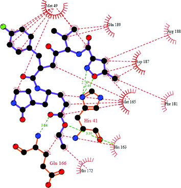 
            Protein–ligand interactions present in the complex PA-Mpro:AG7088, as displayed by Ligplot35 and SYBYL 7.0. Red lines represent hydrophobic interactions, whereas hydrogen bonds are showed in green.