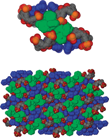 Packing diagram of the compact structure in complex 5 showing the included [Ph3PCH2C6H4CH2PPh3]2+ cation in blue and the intercalated cations in green.