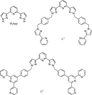 Structural formulae of the ligands described in this paper.